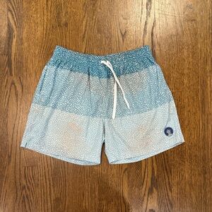 Men's Chubbies Blue Patterned Swim Trunks